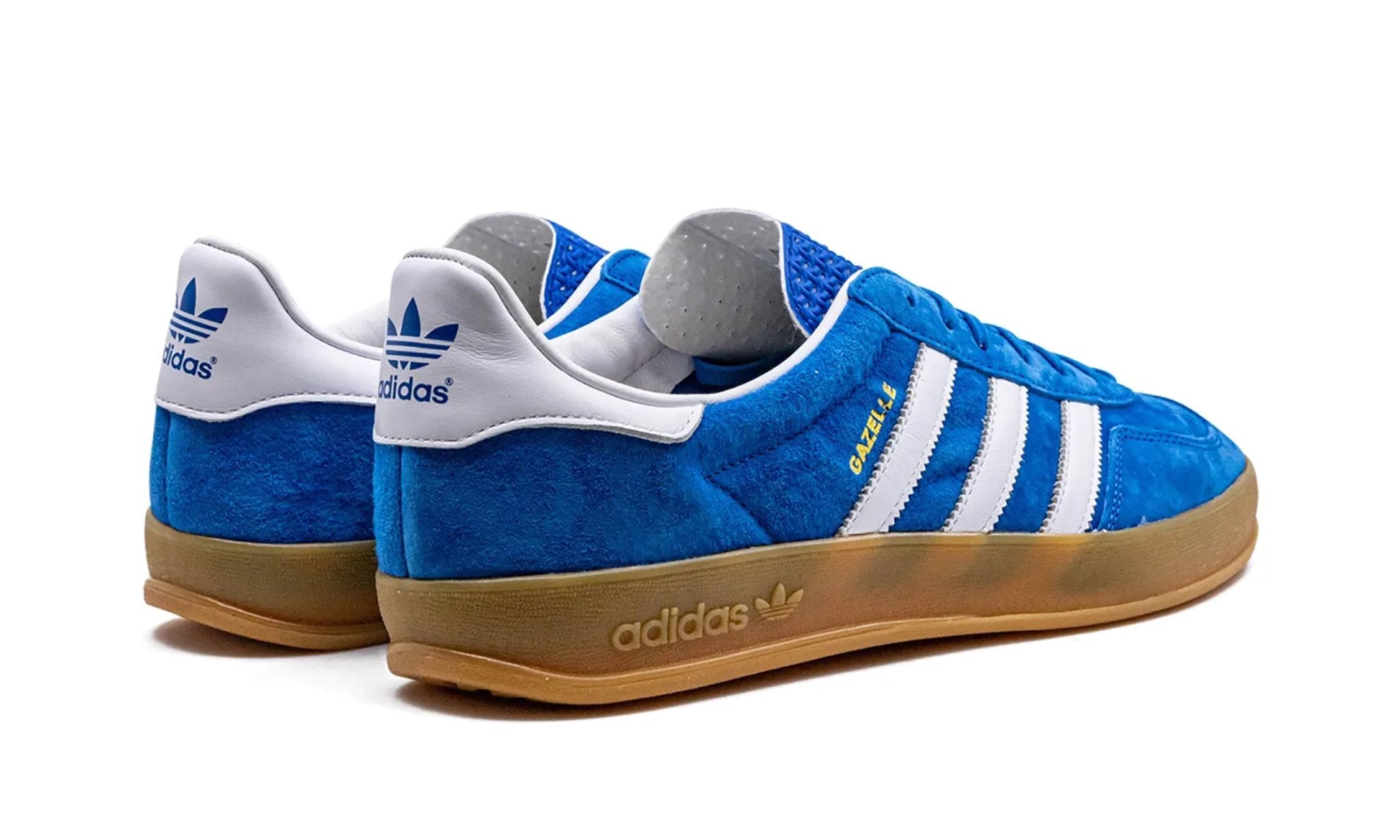 Adidas Gazelle Indoor Blue Bird Gum - H06260 - Sneakers