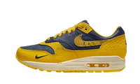 Nike Air Max 1 CO.JP Michigan