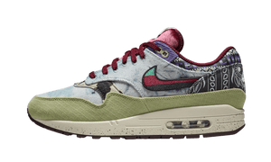 Nike Air Max 1 Concepts Mellow