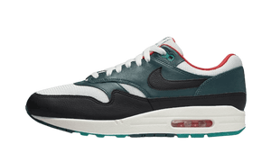 Nike Air Max 1 Liverpool Lebron James