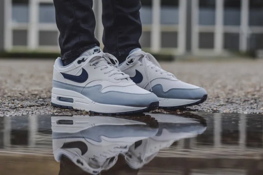 Nike Air Max 1 Pure Platinum - FD9082 - 002 - Men's and Women's Sneakers > Sneakers > Air Max 1 > Low - Top Sneakers