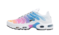 Nike Air Max Plus Summer Gradient