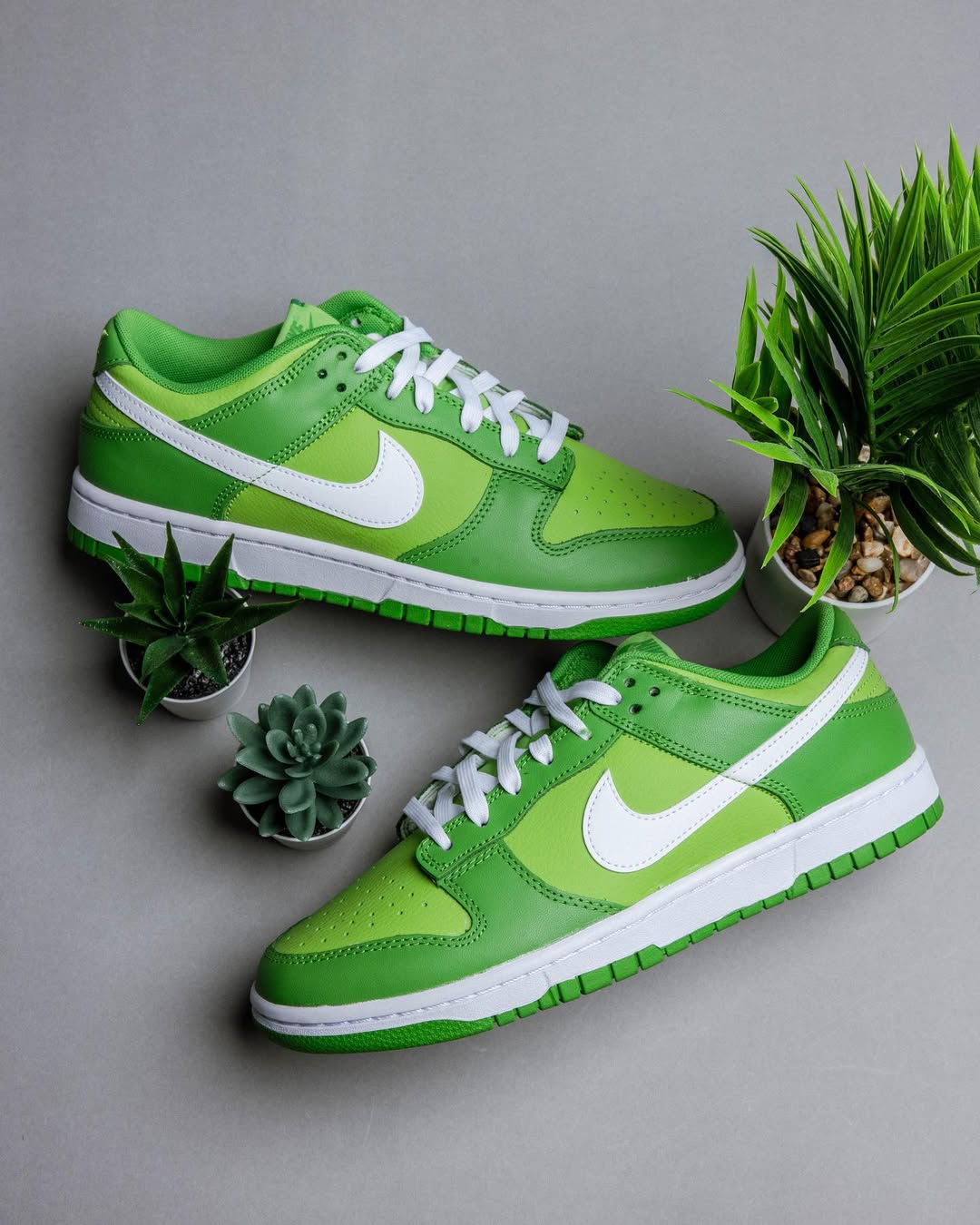 Nike Dunk Low "Chlorophyll" - DJ6188 - 300 - Men's and Women's Sneakers > Sneakers > Nike Dunk > Low - Top Sneakers