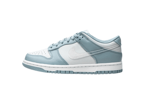 Nike Dunk Low 'Clear Swoosh'
