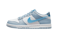 Nike Dunk Low Hologram