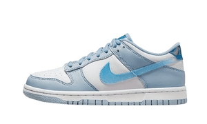 Nike Dunk Low Hologram