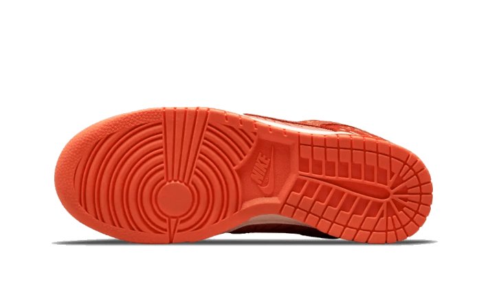 Nike Dunk Low Winter Solstice - DO6723 - 800 - sneakers