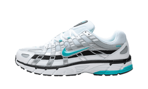 Nike P-6000 Dusty Cactus